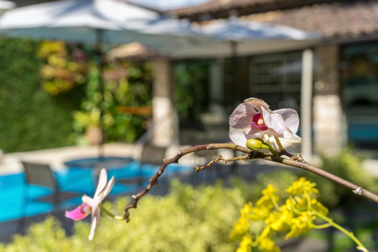 Casa Nostra Boutique Hotel パラチ エクステリア 写真